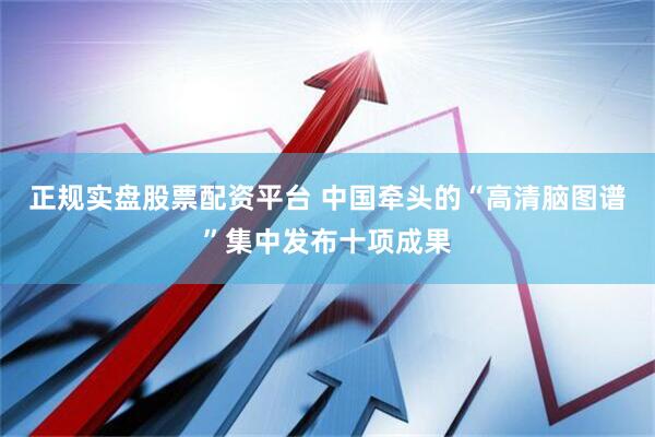 正規(guī)實(shí)盤股票配資平臺(tái) 中國(guó)牽頭的“高清腦圖譜”集中發(fā)布十項(xiàng)成果